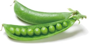 ヴィーガンケラチン