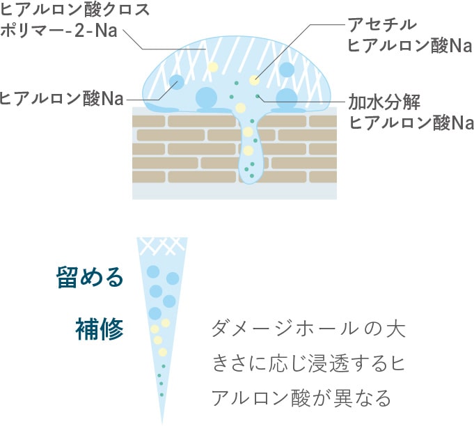 4種類のヒアルロン酸
