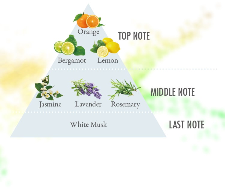 心癒されるアロマティックシトラスの香り